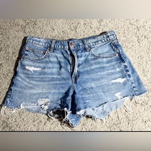 90’s Boyfriend shorts from American Eagle.
